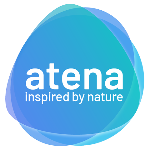ATENA NUOVO